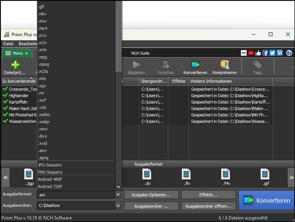 Screenshots mit den Ausgabeoptionen von Prism Video File Converter
